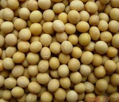 Soya beans: Expert puts Nigeria`s annual production value at N300b