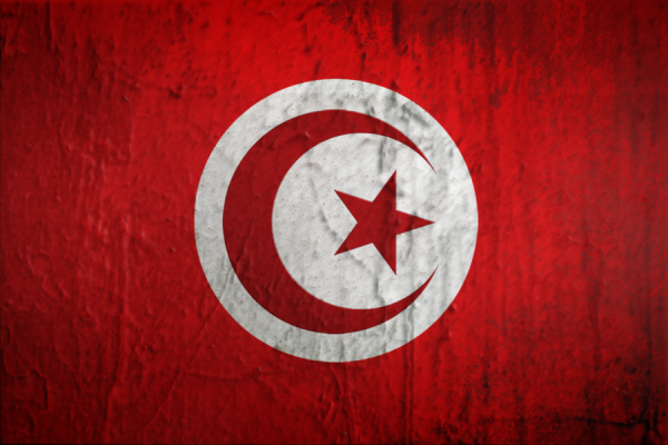 13 ministers replaced in Tunisian cabinet reshuffle