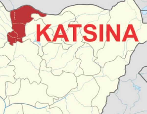 As residents stage protest, Katsina LG boss cries out: Security in my area deteriorating