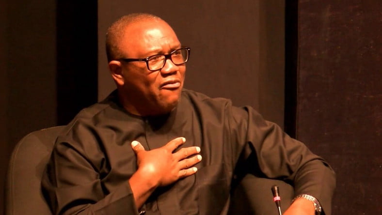 The biography of Peter Obi