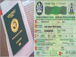 FG Plans Landing-Exit Cards, Cancel Visa-On-Arrival