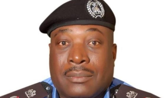 Insecurity: Katsina Police Arrest Kidnap Syndicate, Rescue Victim ...