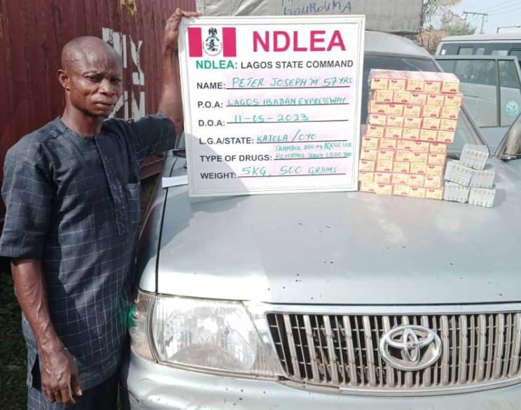 In Nationwide Operations, NDLEA Makes Massive Haul Of Various Drugs