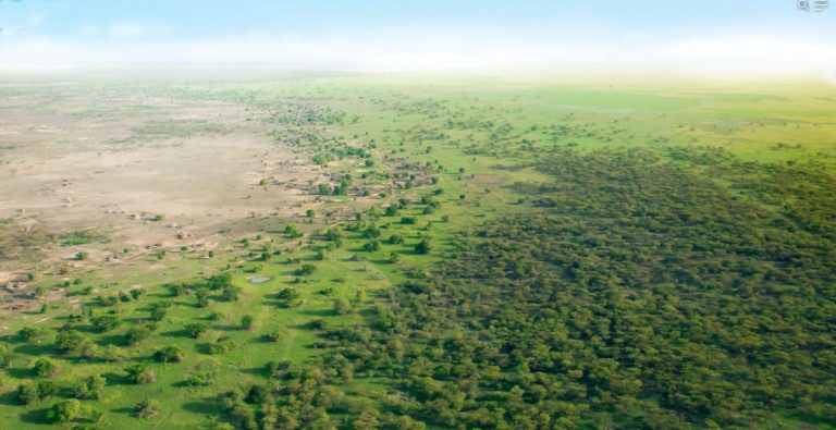 great green wall