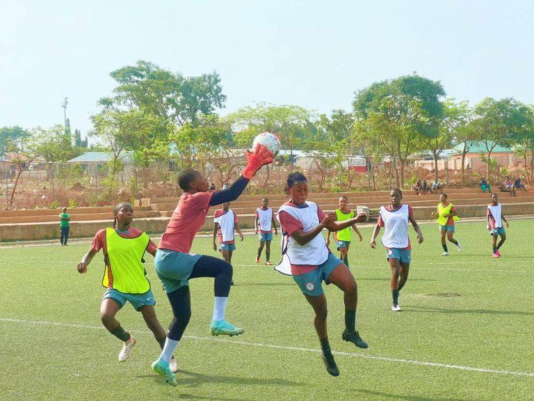 Flamingos training